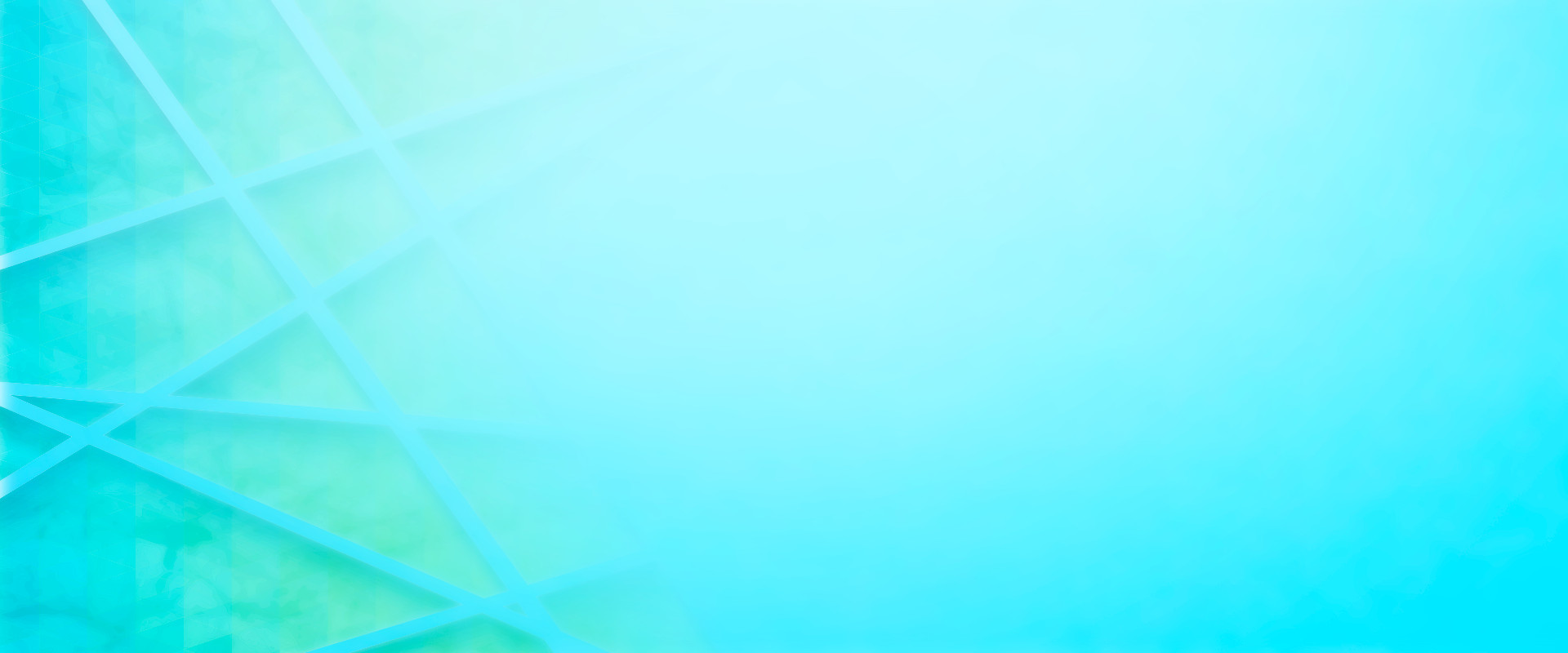 banner1